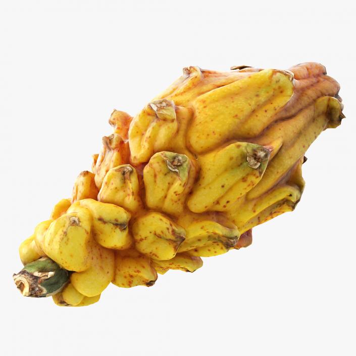 3D Yellow Dragonfruit model