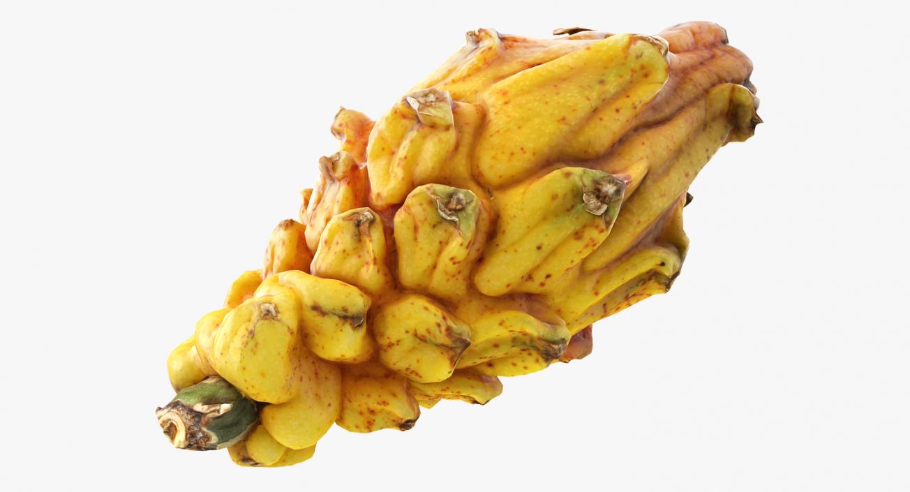 3D Yellow Dragonfruit model