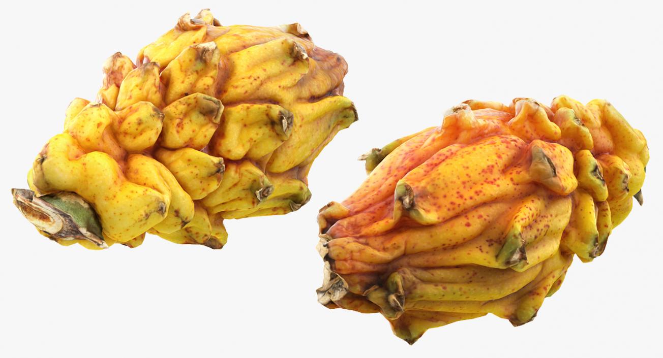 3D Yellow Dragonfruit model