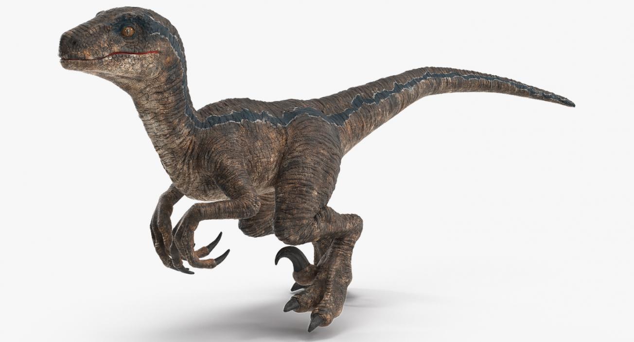 3D model Velociraptor Walking Pose