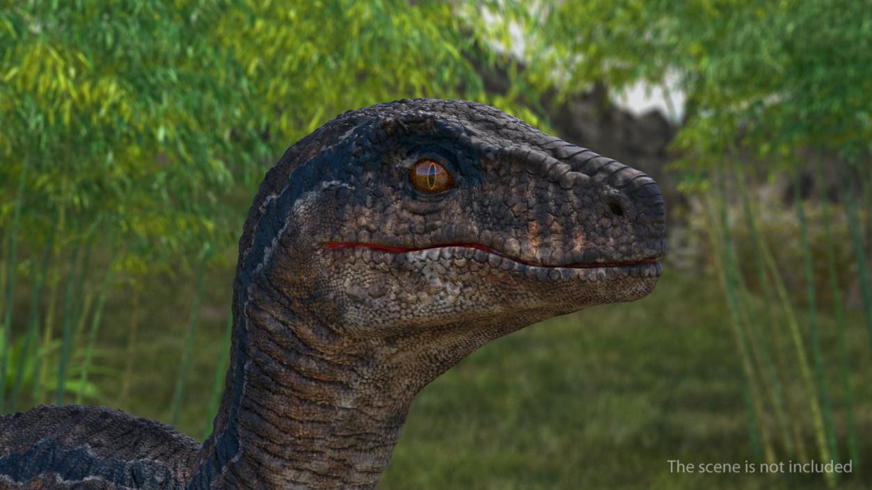 3D model Velociraptor Walking Pose