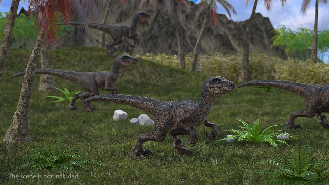 3D model Velociraptor Walking Pose