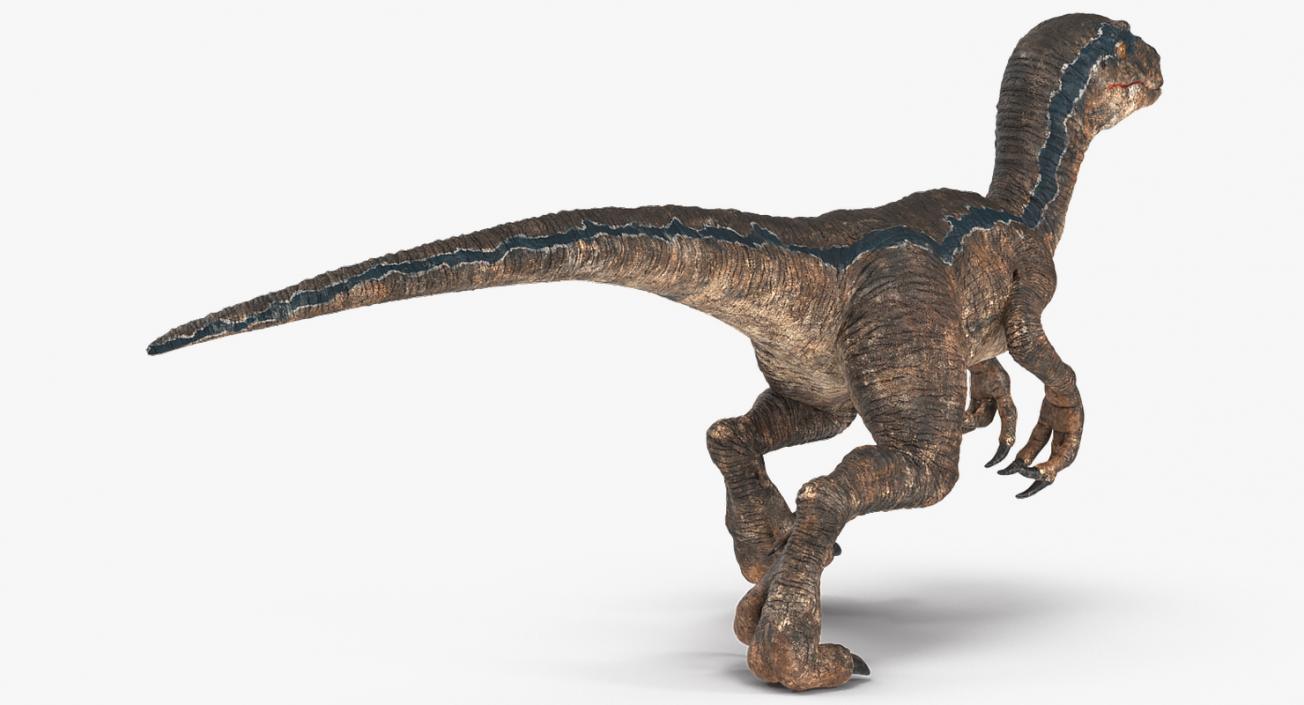 3D model Velociraptor Walking Pose