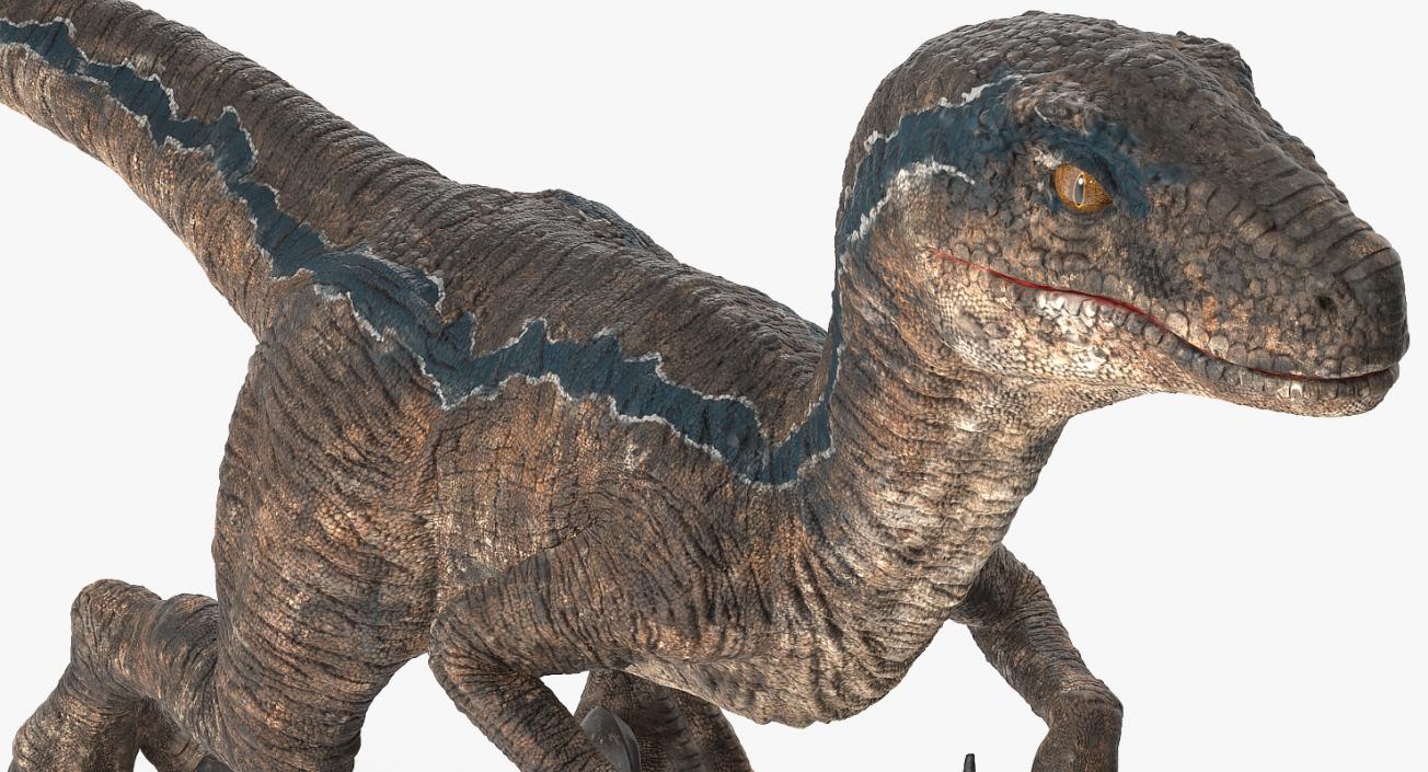 3D model Velociraptor Walking Pose