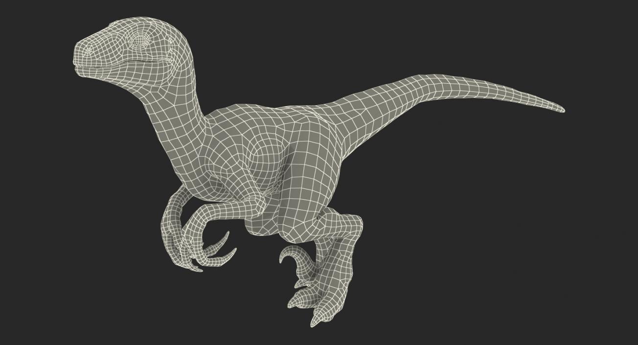 3D model Velociraptor Walking Pose