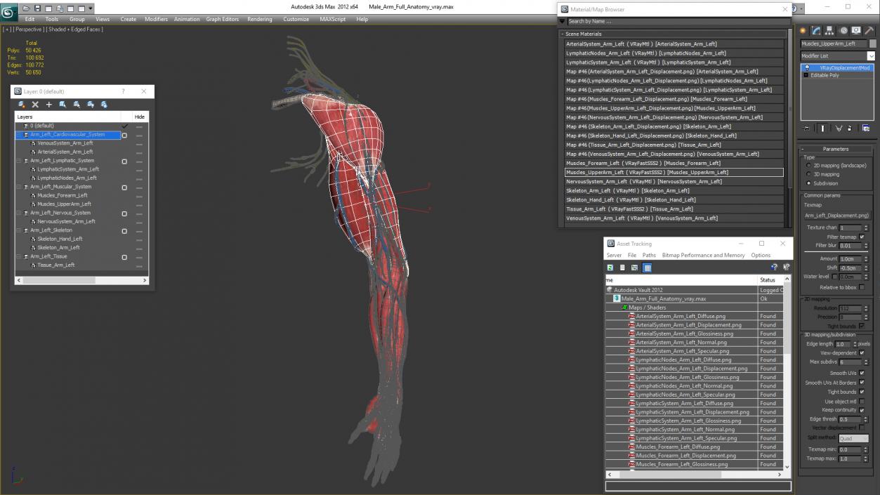 3D Male Arm Full Anatomy