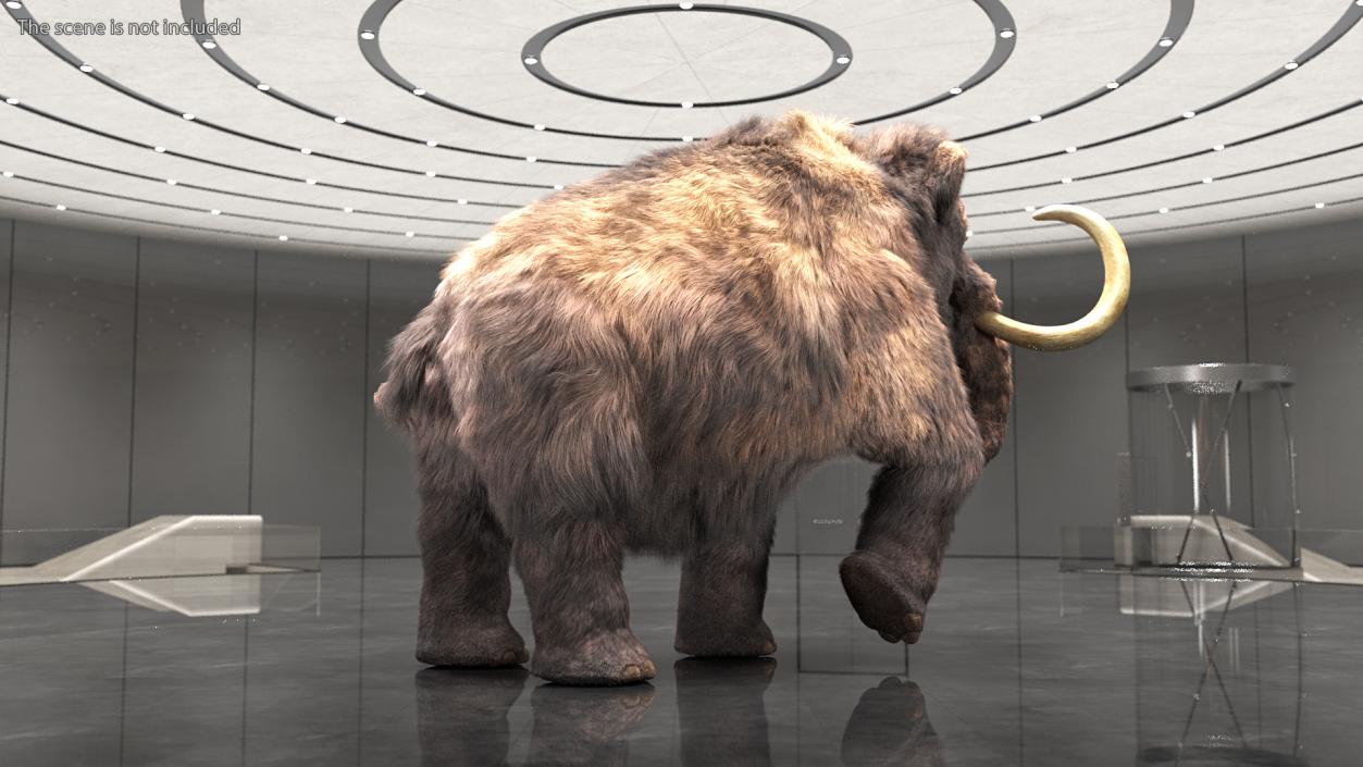 3D Mammoth Adult with Skeleton Collection model