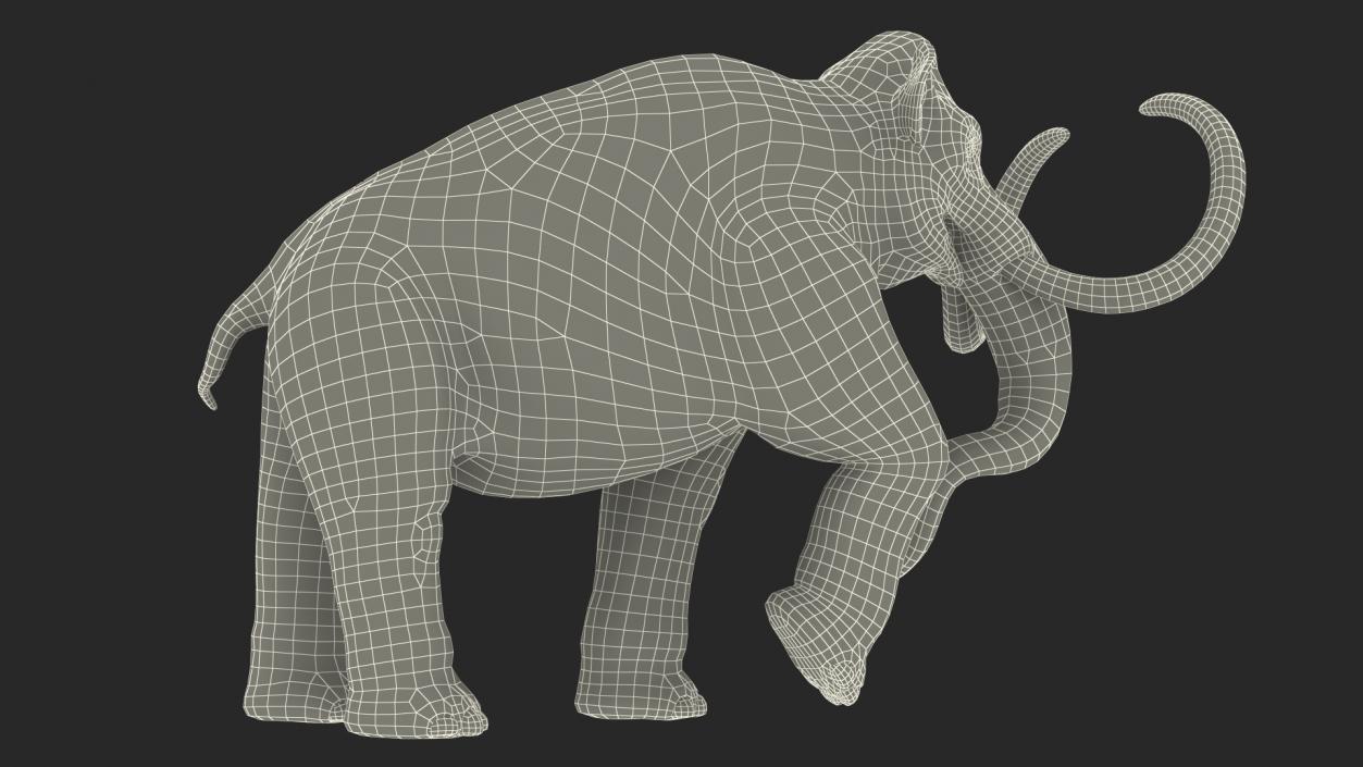 3D Mammoth Adult with Skeleton Collection model