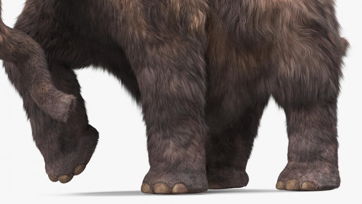 3D Mammoth Adult with Skeleton Collection model