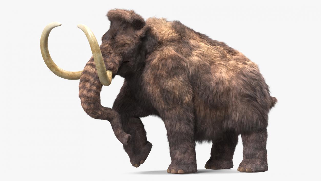 3D Mammoth Adult with Skeleton Collection model