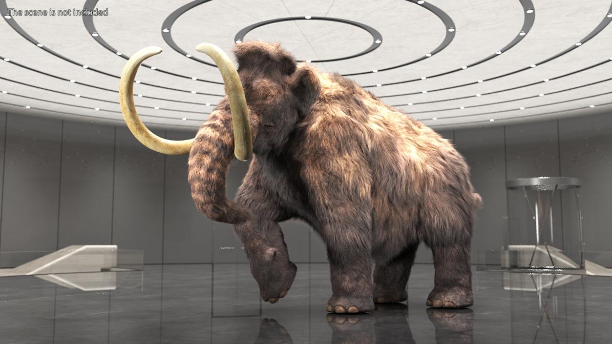 3D Mammoth Adult with Skeleton Collection model