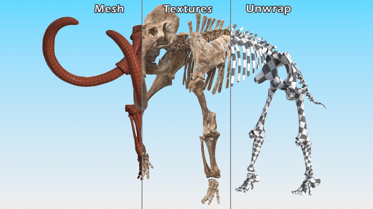 3D Mammoth Adult with Skeleton Collection model