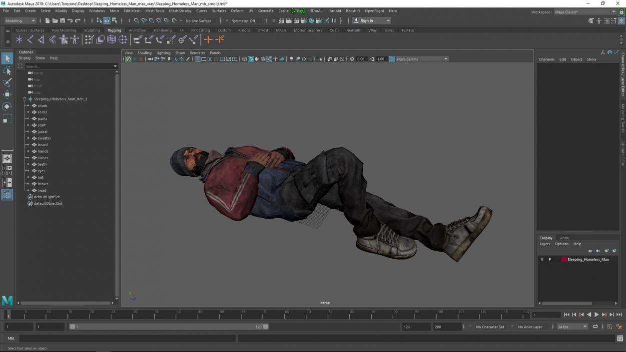 3D Sleeping Homeless Man