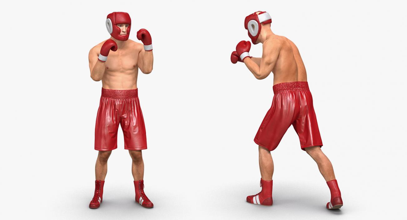 Rigged Boxers 3D Models Collection 3D model