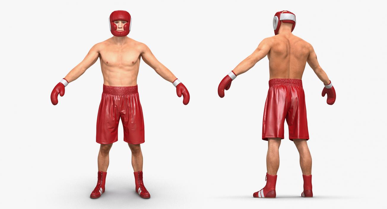 Rigged Boxers 3D Models Collection 3D model