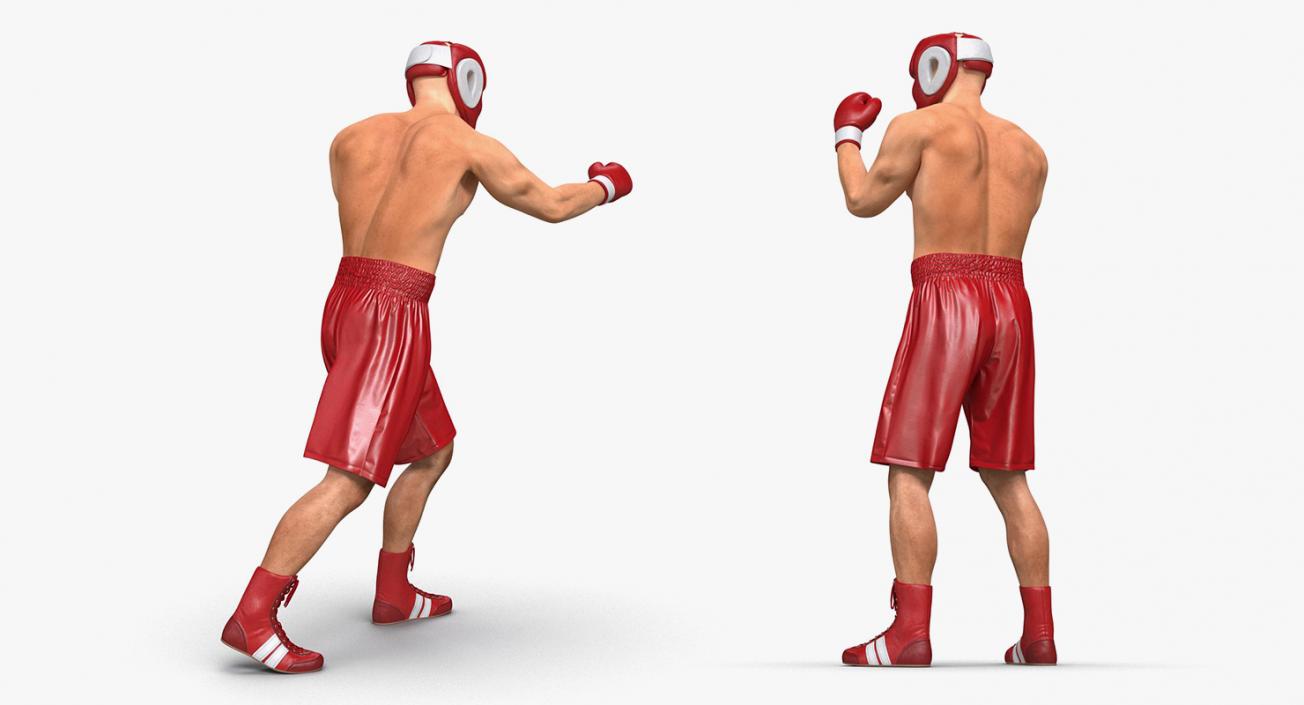 Rigged Boxers 3D Models Collection 3D model