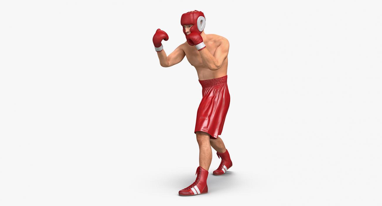 Rigged Boxers 3D Models Collection 3D model