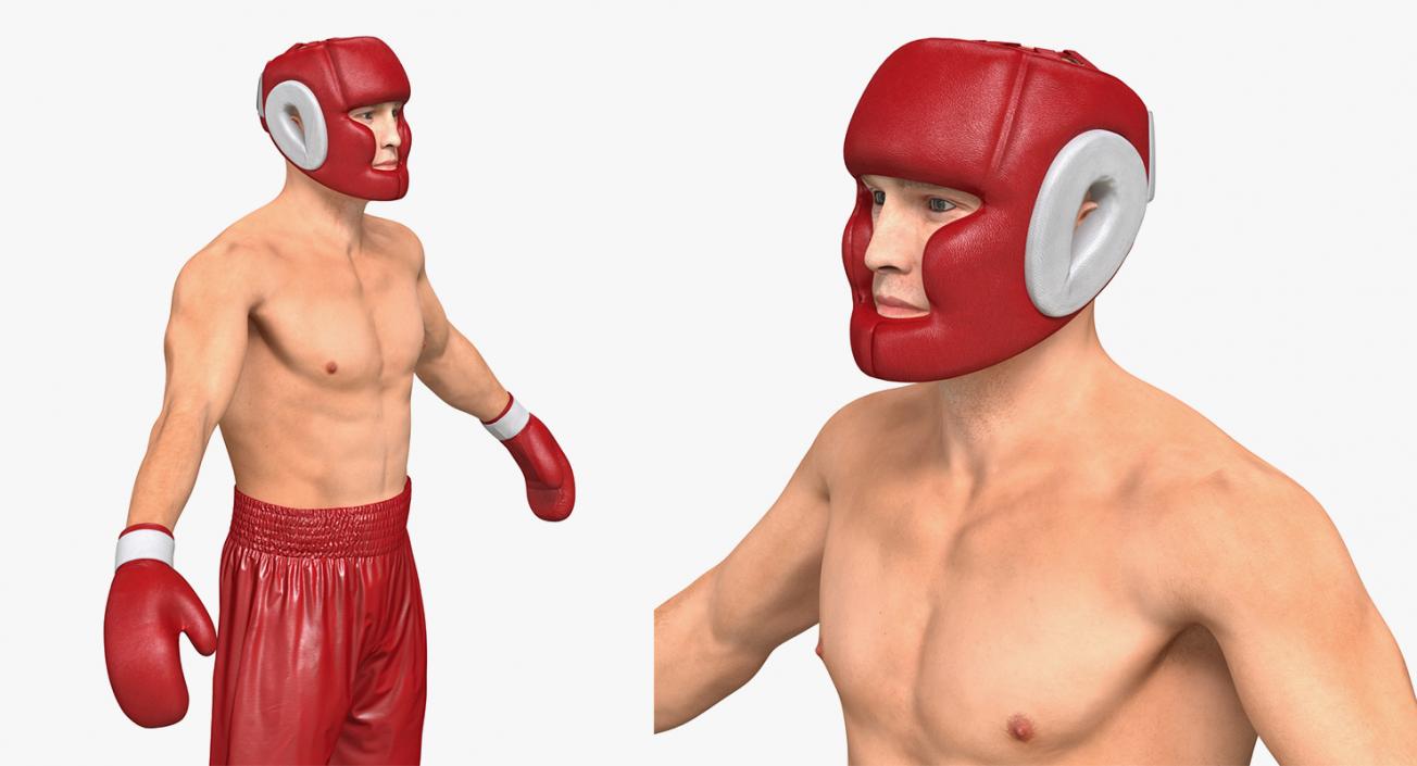 Rigged Boxers 3D Models Collection 3D model