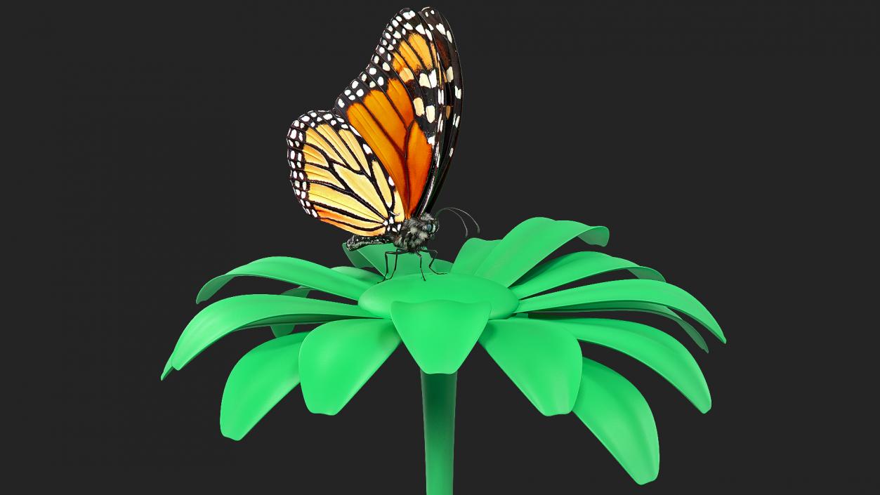 3D Animated Monarch Butterfly Collects Nectar Fur Rigged model