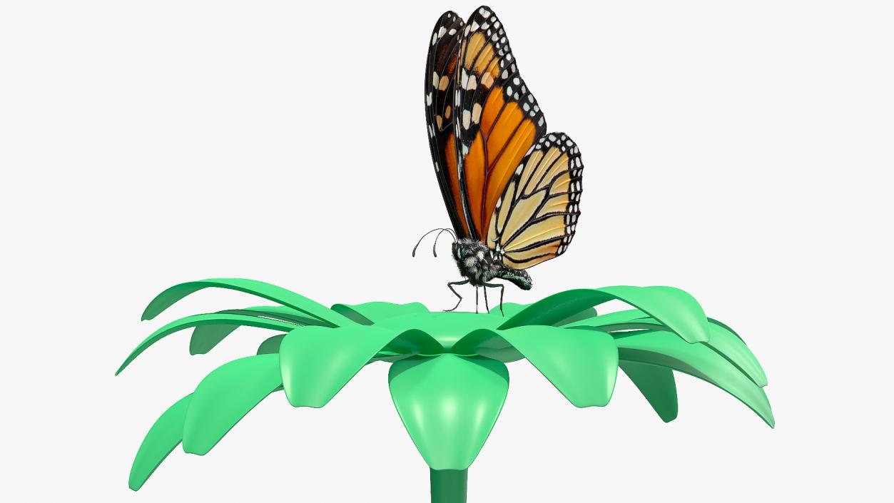 3D Animated Monarch Butterfly Collects Nectar Fur Rigged model