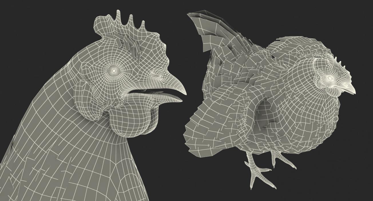 Chickens Collection 3D model