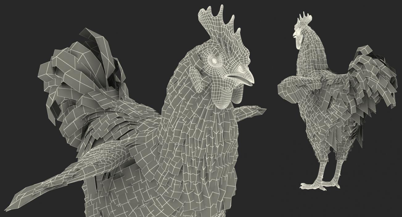 Chickens Collection 3D model