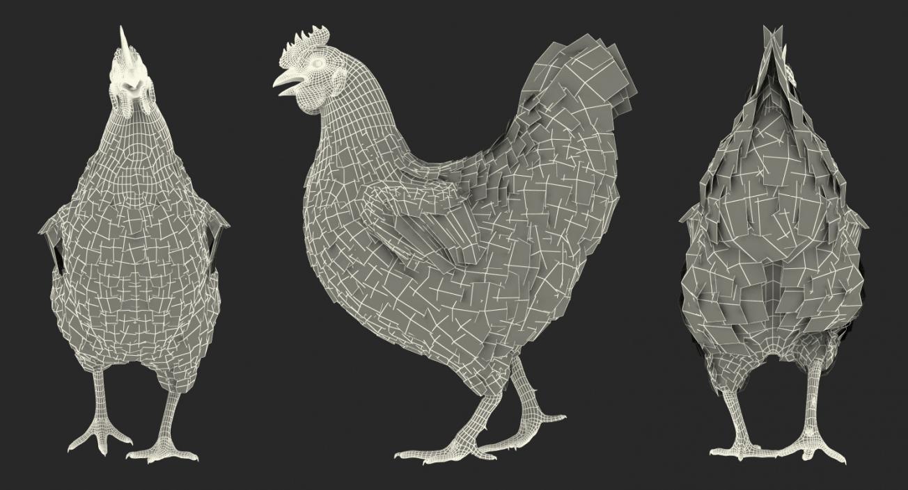 Chickens Collection 3D model