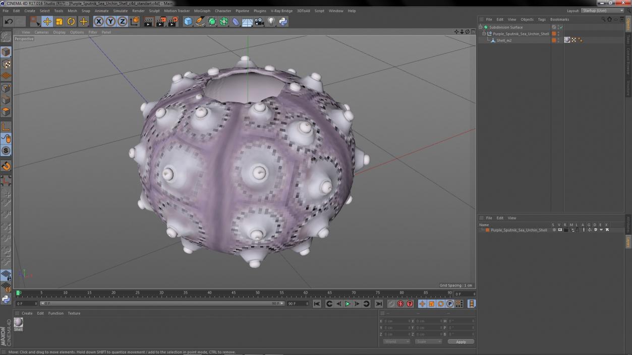 3D Purple Sputnik Sea Urchin Shell