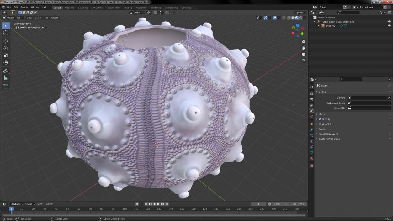 3D Purple Sputnik Sea Urchin Shell