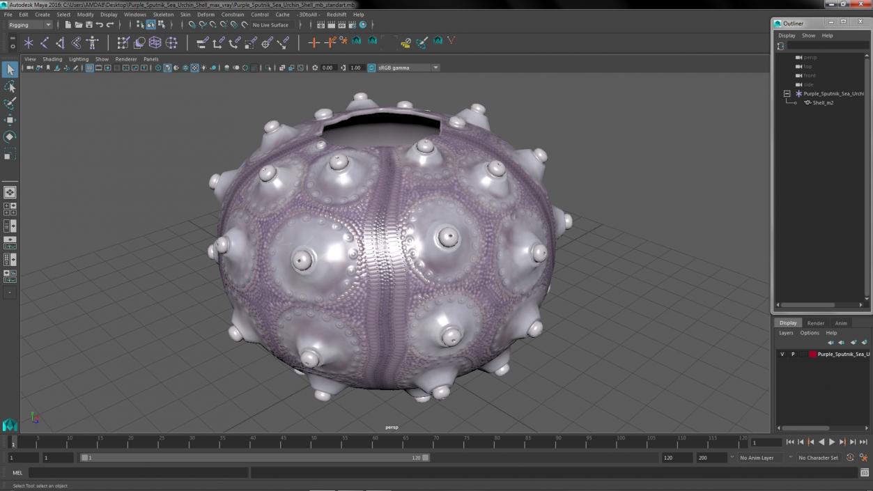 3D Purple Sputnik Sea Urchin Shell