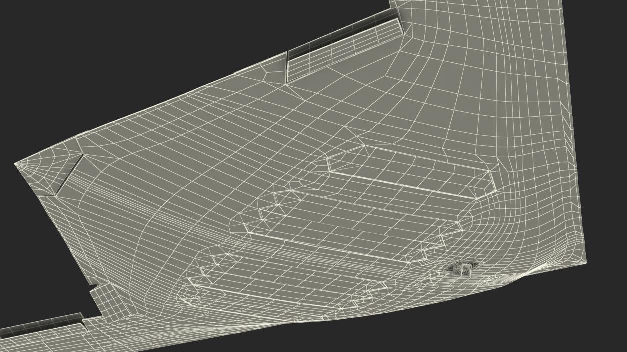 3D B-21 Raider Long-Range Aircraft Rigged model