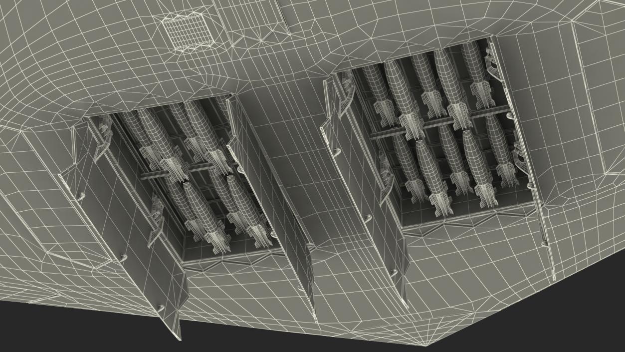 3D B-21 Raider Long-Range Aircraft Rigged model