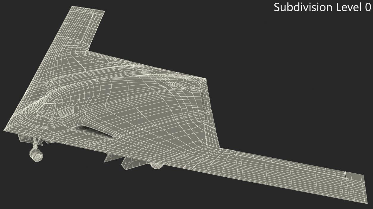 3D B-21 Raider Long-Range Aircraft Rigged model