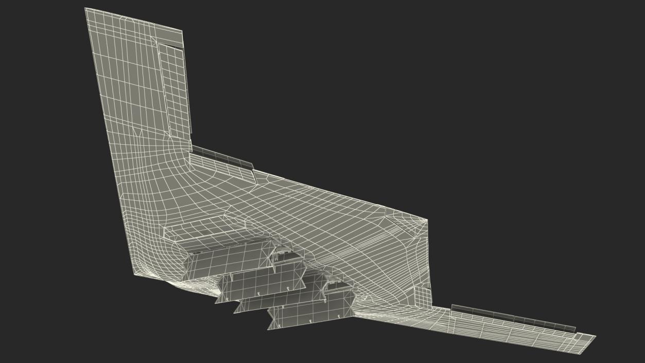 3D B-21 Raider Long-Range Aircraft Rigged model