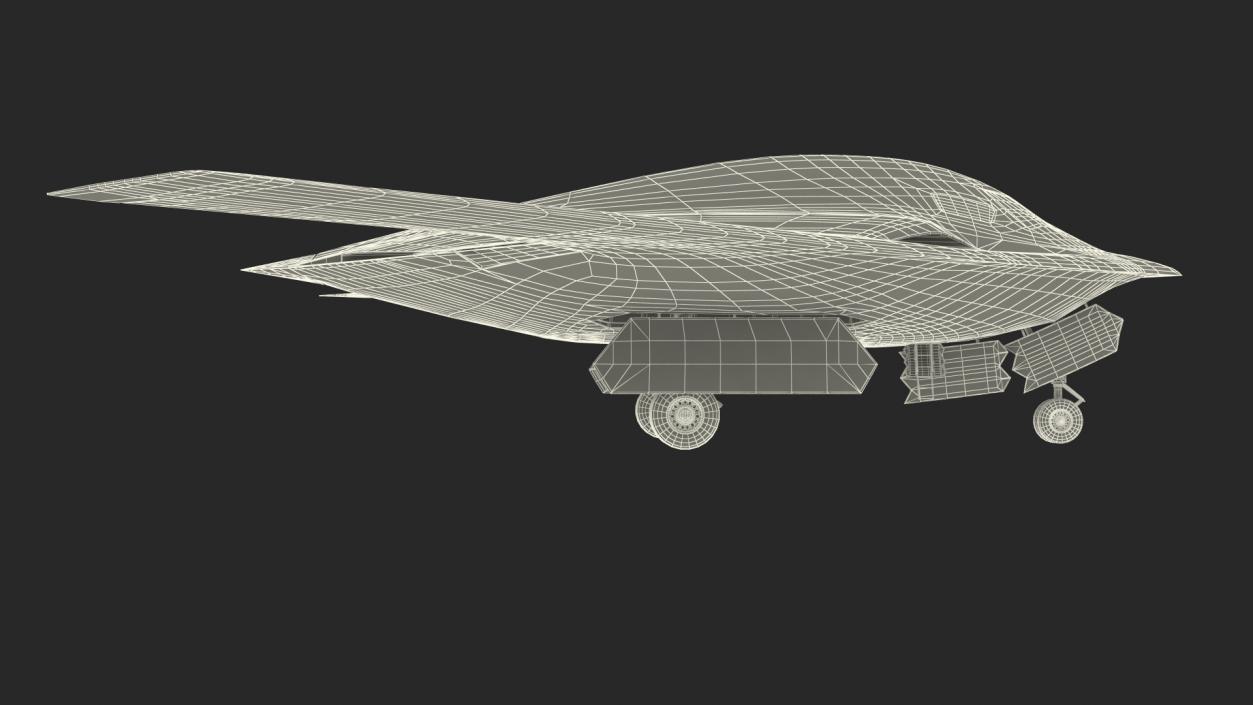 3D B-21 Raider Long-Range Aircraft Rigged model