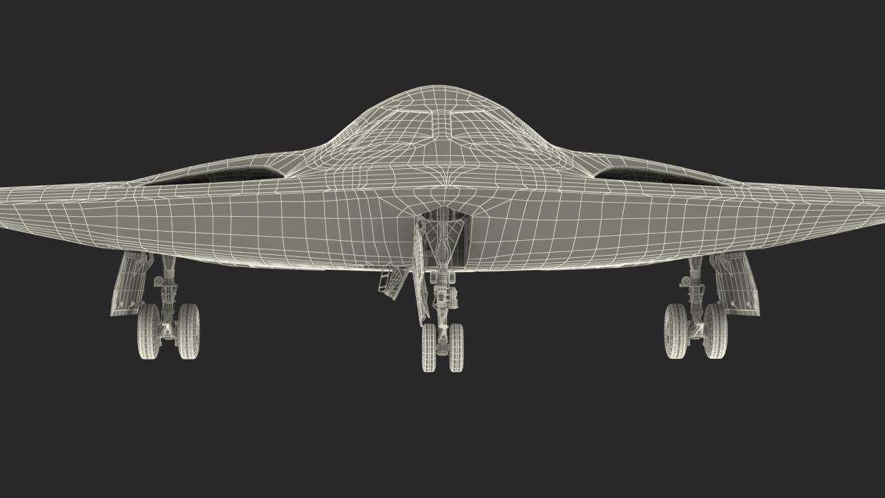 3D B-21 Raider Long-Range Aircraft Rigged model