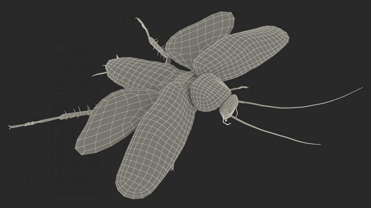 Flying Cockroach Rigged for Maya 3D