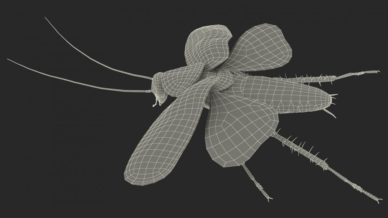 Flying Cockroach Rigged for Maya 3D