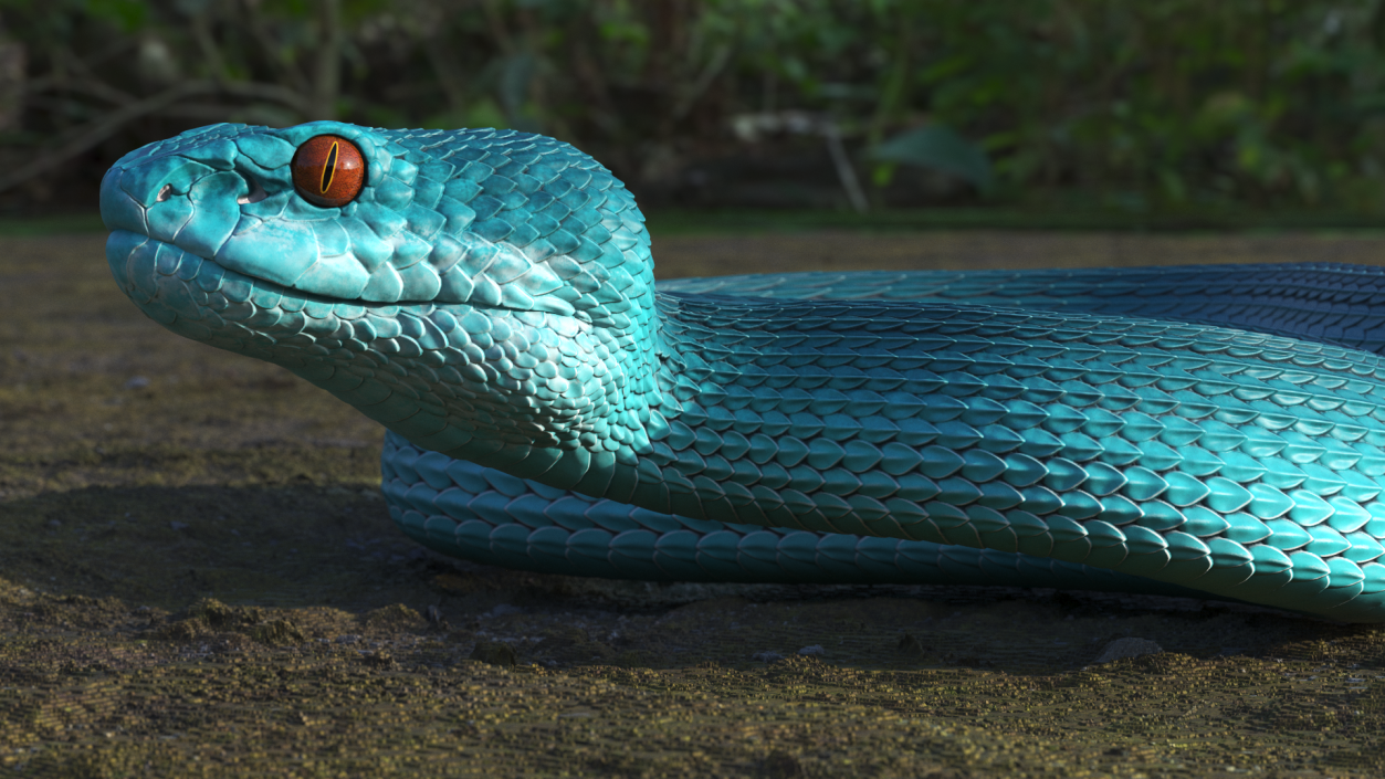 Creeping Blue Viper Trimeresurus 3D