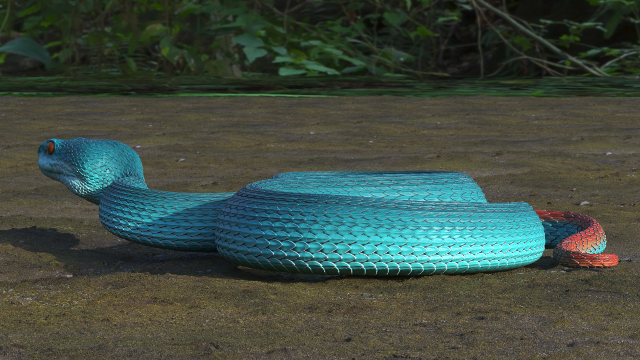 Creeping Blue Viper Trimeresurus 3D