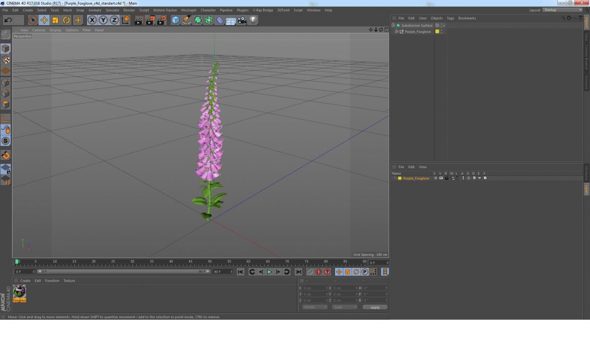 3D model Purple Foxglove