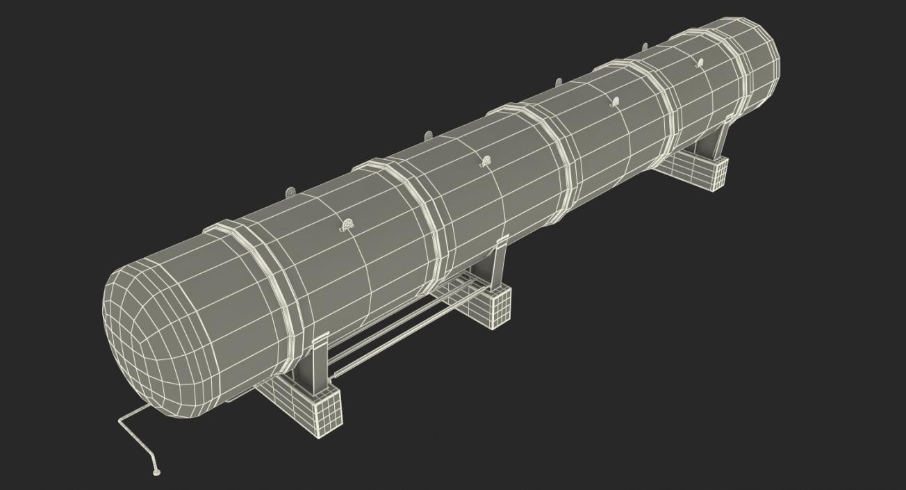 3D LNG Storage Tank