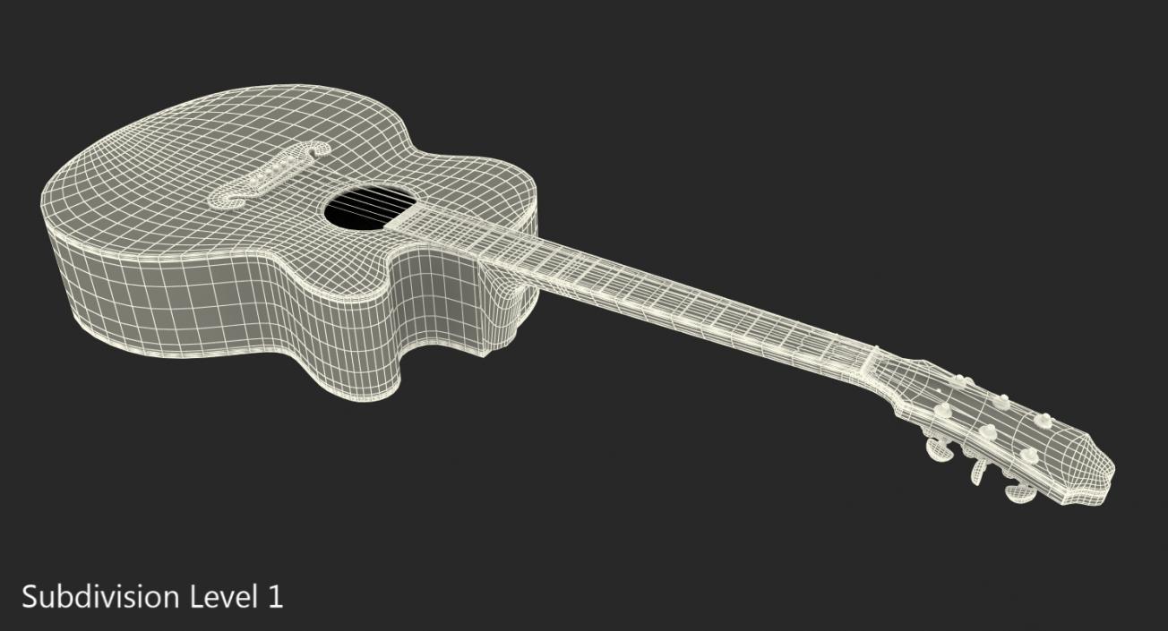 Electro Acoustic Guitar Epiphone 3D