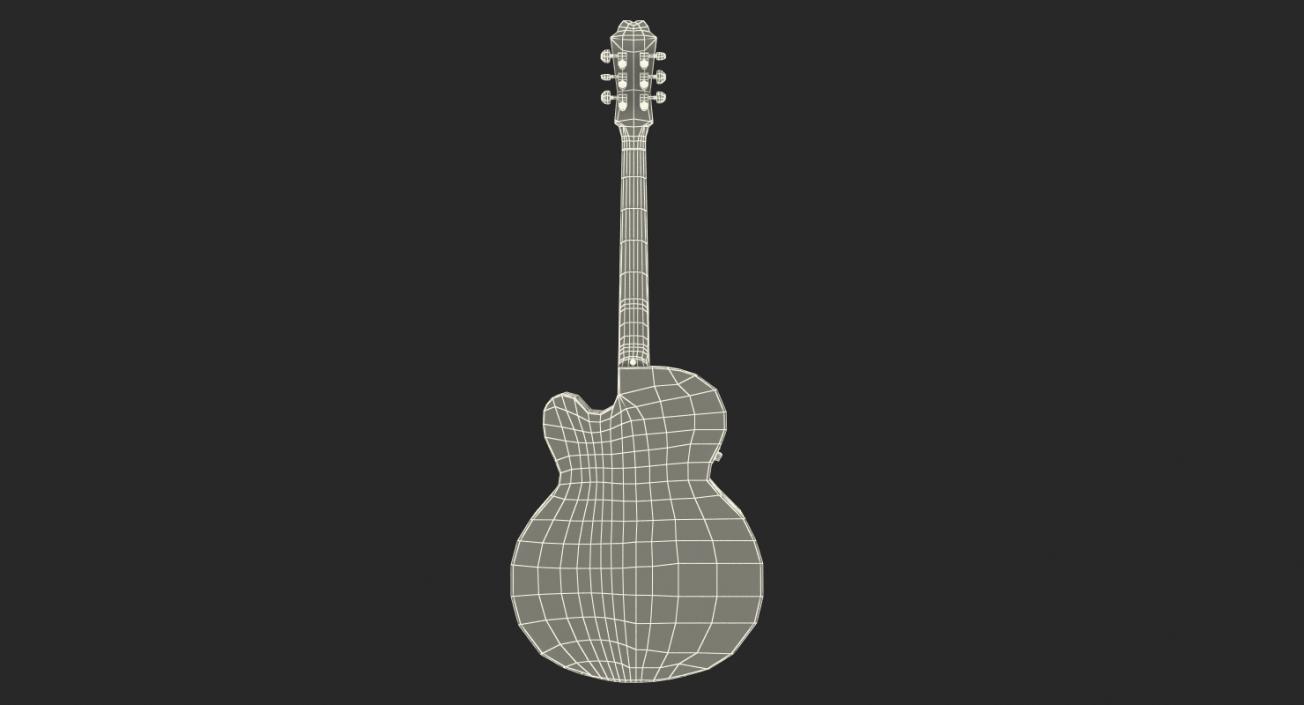 Electro Acoustic Guitar Epiphone 3D