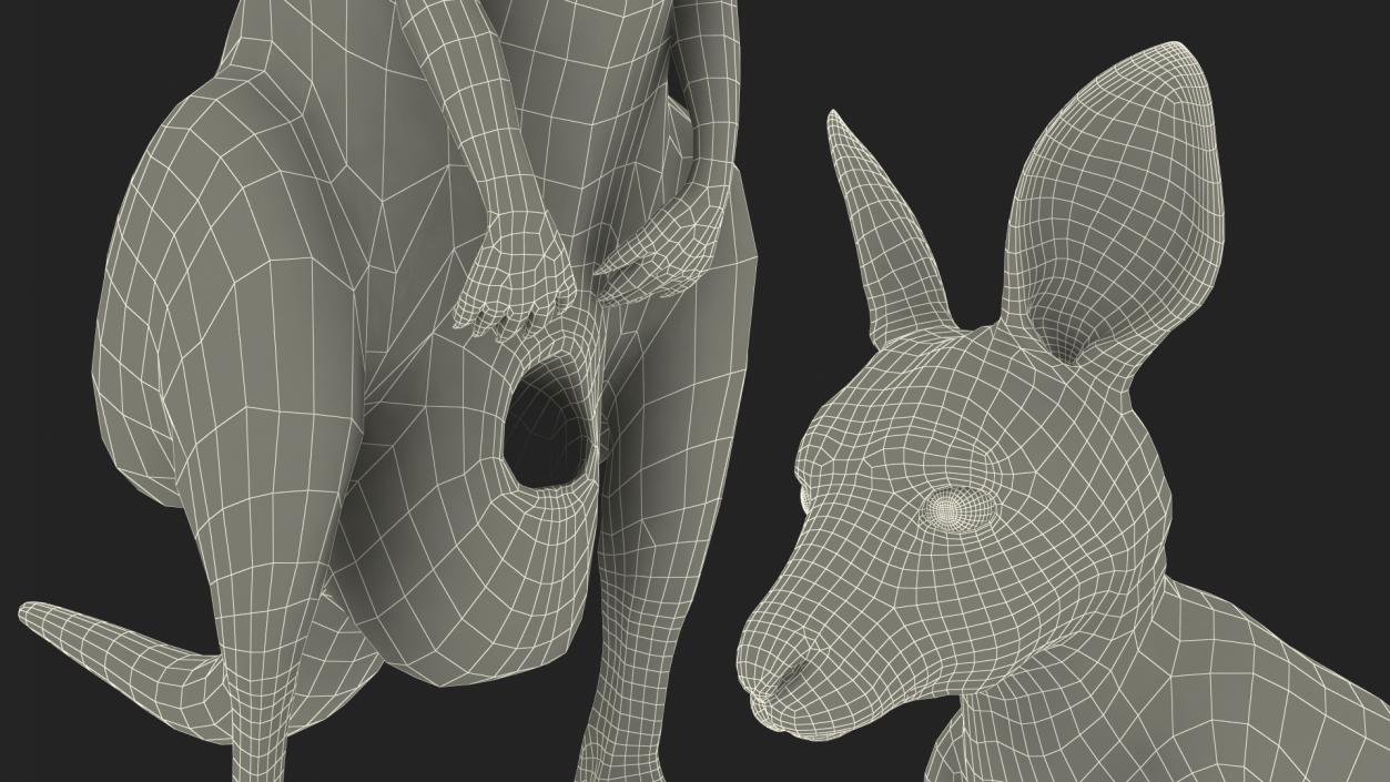 3D model Mother Kangaroo with Baby Standing Fur 2