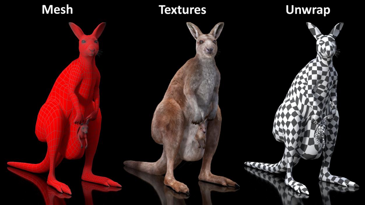 3D model Mother Kangaroo with Baby Standing Fur 2