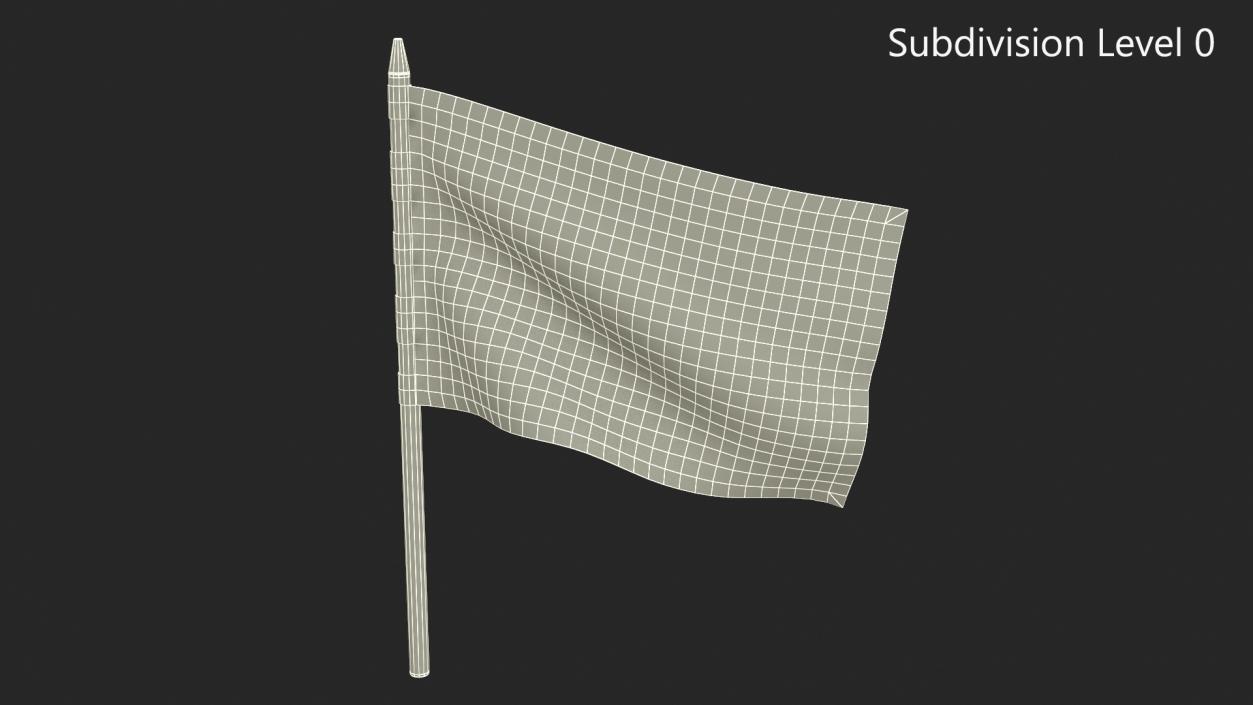 Checkered Flag 3D model