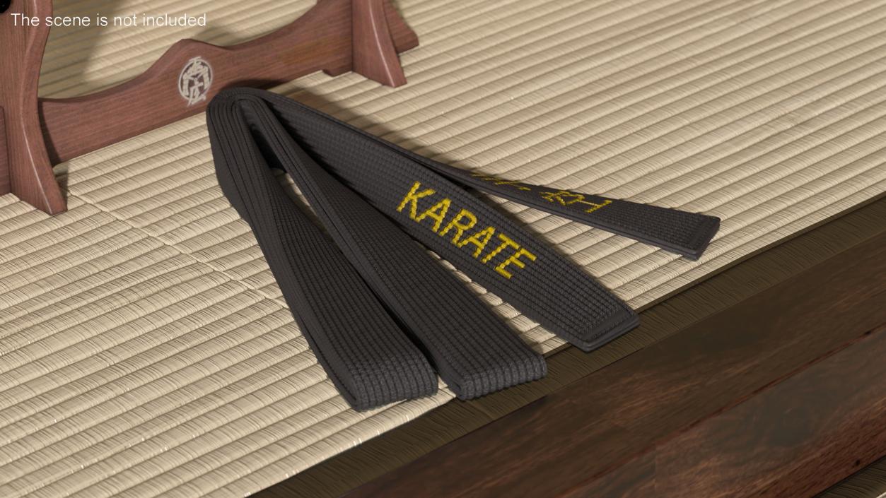 3D Black Karate Obi Belt