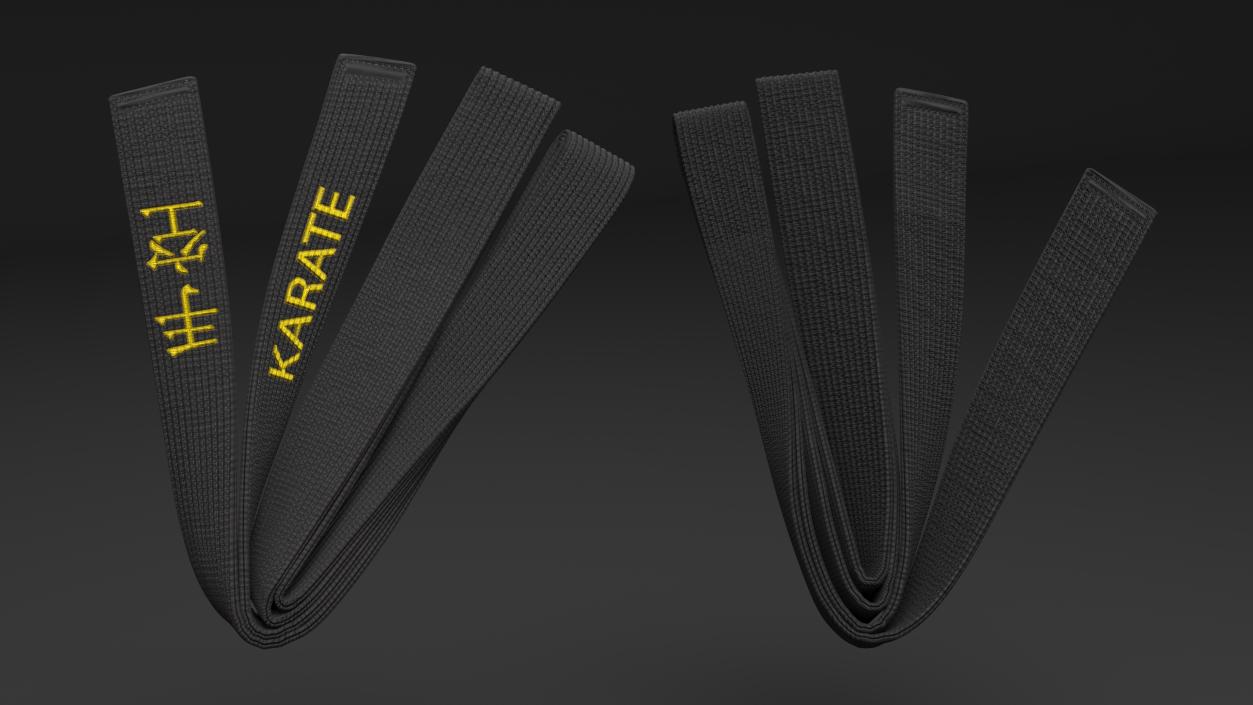 3D Black Karate Obi Belt