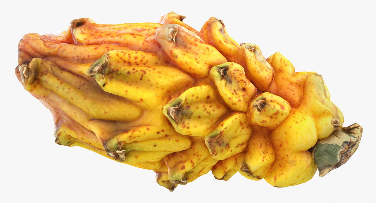 3D Yellow Dragonfruit Whole And Half model